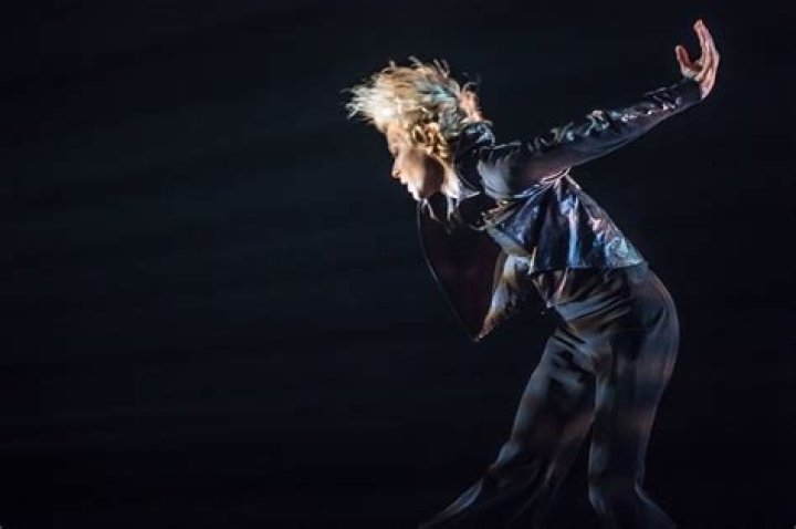 All About Louise Lecavalier's Husband