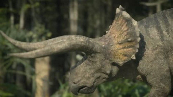 Astonishingly Massive Horns: A Majestic Sight