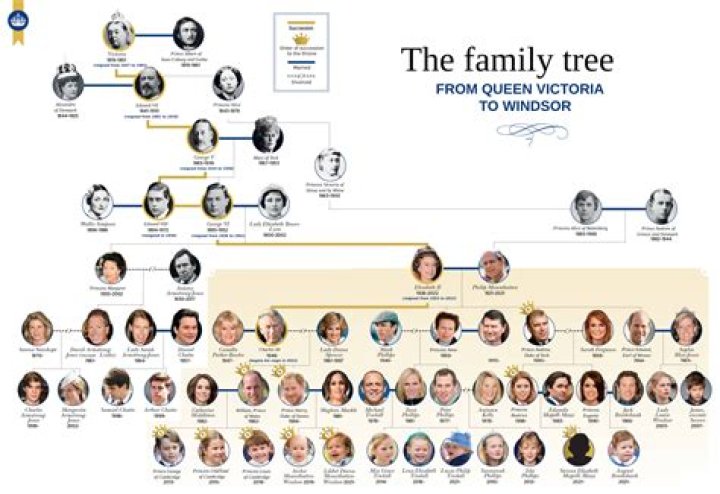 Cardi B's Mother Age: Unveiling The Family Tree Of The Rap Star