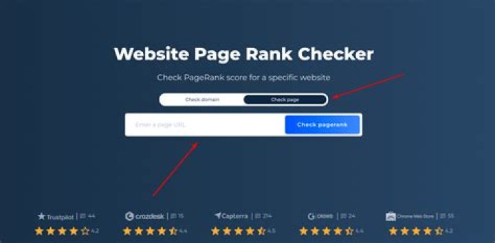 Check Your Website Rank For Free: The Ultimate Guide