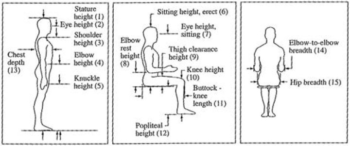 Discover Colossal Stature: Height And Weight Metrics Of Impressive African-Americans