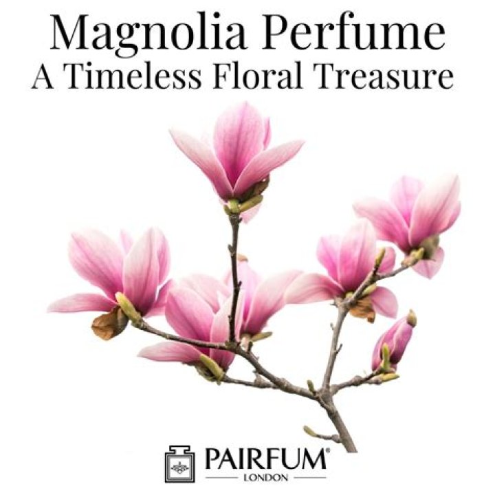 Discover Margaret Dames: A Timeless Treasure