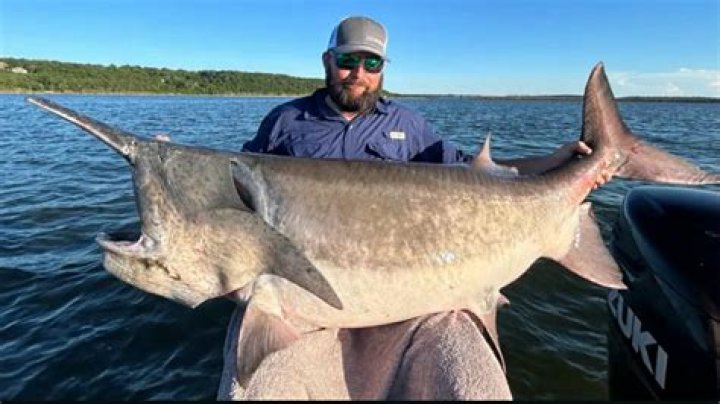Exploring Paddlefish In The Heart Of The Ozarks