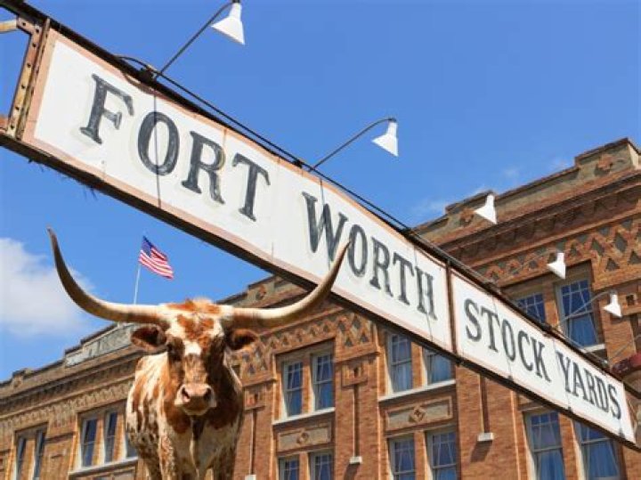 Guide To Pavy Stockyards: History, Facilities, And More