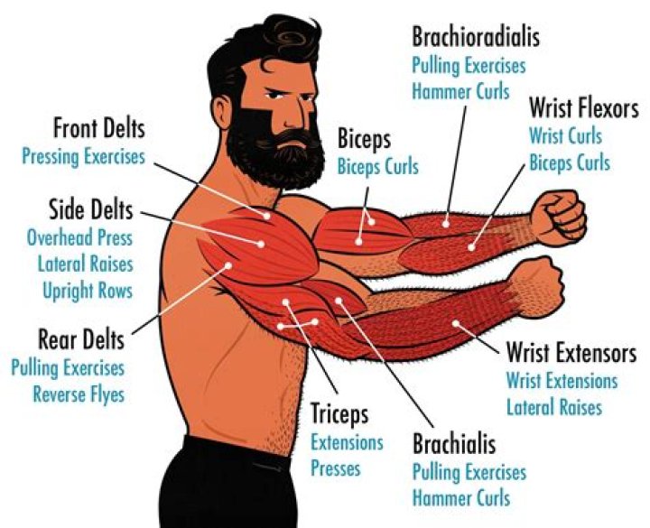 Impressive Garnacho Muscles: Building Definition And Strength