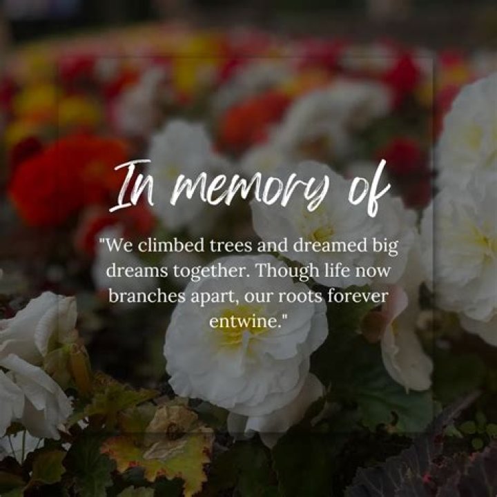 In Memoriam: Remembering The Life Of Katie Young