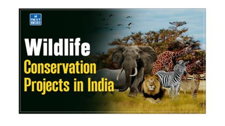 Jack Hanna's Home: A Haven For Wildlife And Conservation