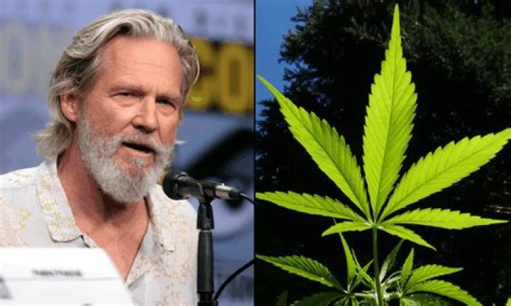 Joshua Thrasher: Pioneer Of Medical Marijuana Movement
