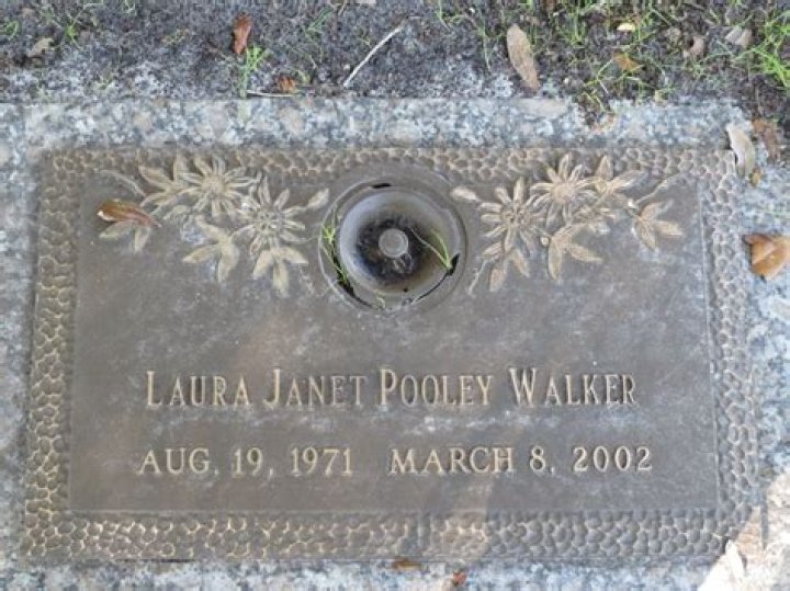 Laura Pooley Walker: An Expert In Education And Innovation