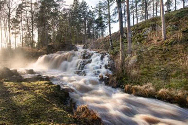 Neve Eitan: A Haven For Nature Lovers And Outdoor Enthusiasts