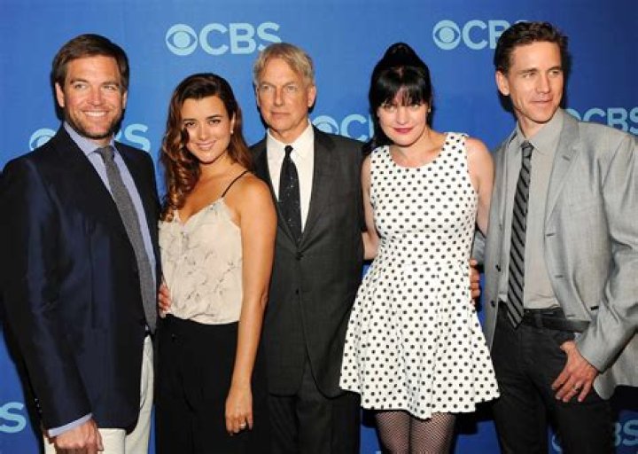 Pauley Perrette: A Multifaceted Star