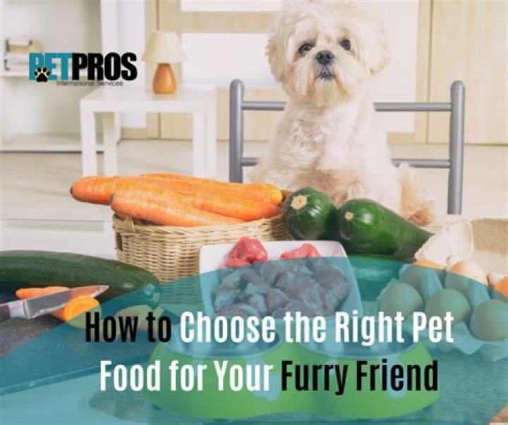 Puppy Cane: The Perfect Treat For Your Furry Friend