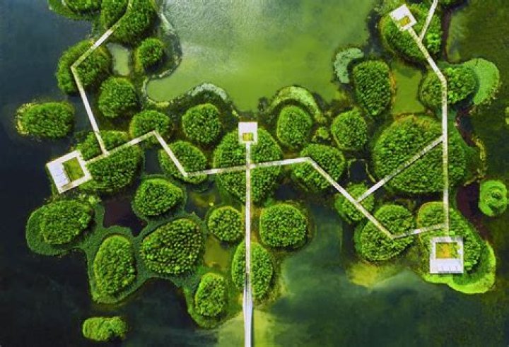Renowned Landscape Architect Everett Palmer's Visionary Designs