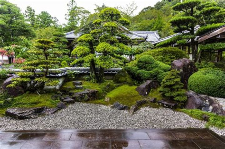 Suzuka Height: Unraveling The Mystique Of A Japanese Gem