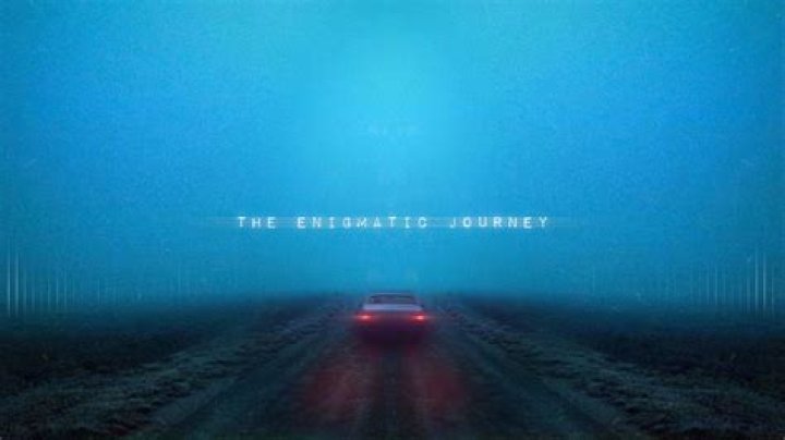 The Enigmatic Journey Of Bo Boreanaz