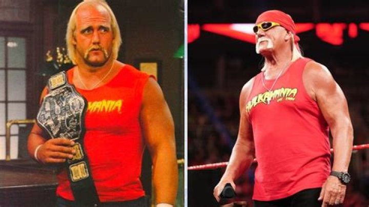 The Ultimate Guide To Ruckus Band: Inside The Rumble With Hulk Hogan
