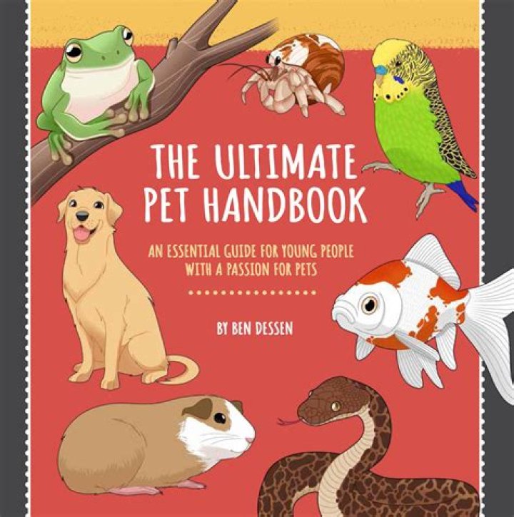 The Ultimate Pet Driver Guide: Your Companion On The Road