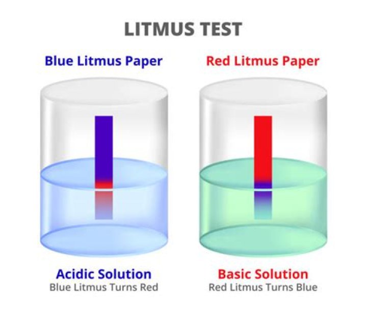 Ultimate Guide To Litmus Reddeners: Understanding Their Role In Chemical Testing