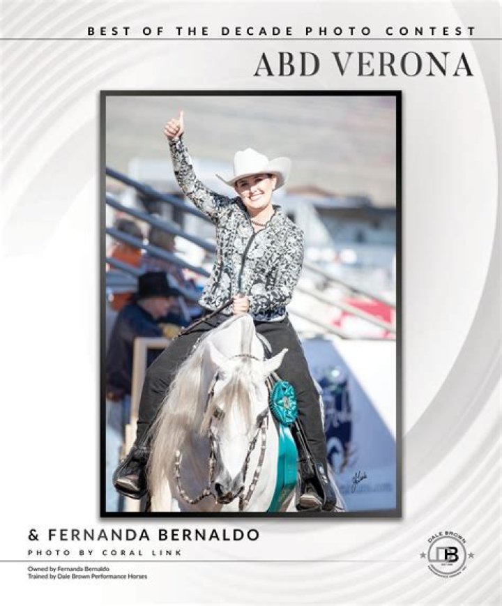 Uncover The Enchanting World Of Priceless Arabians