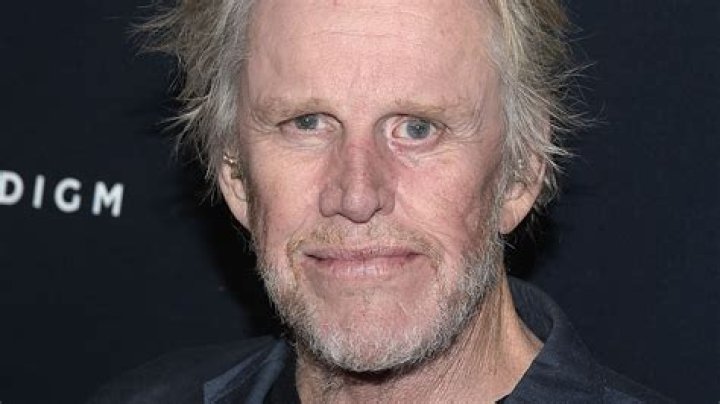 Uncover The Mystery: Gary Busey's Marital Status Revealed