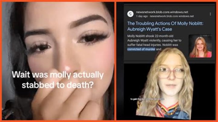 Was Molly Noblitt Jailed For Cyberbullying?