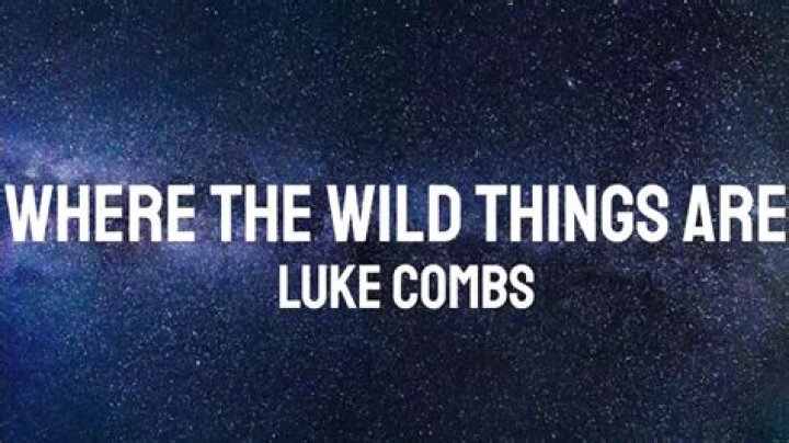 Where The Wild Things Are Songwriter Revealed: Luke Combs' Hidden Role