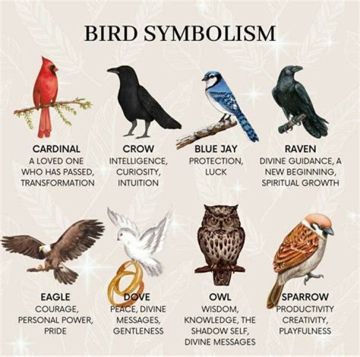 Whispers Of The Afterlife: The Bird That Symbolizes Death