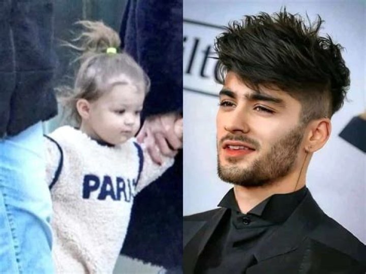 Zayn Malik: A Glimpse Into His Family Life